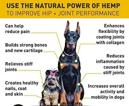 (2 Pack | 1000mg) Hemp Oil for Dogs Cats Pets, Organic Calming Dog Treats for Separation Anxiety Pain Relief - Natural Hemp Extract Stress Sleep Aid - Zero THC CBD Cannabidiol - Joint Hip Supplements