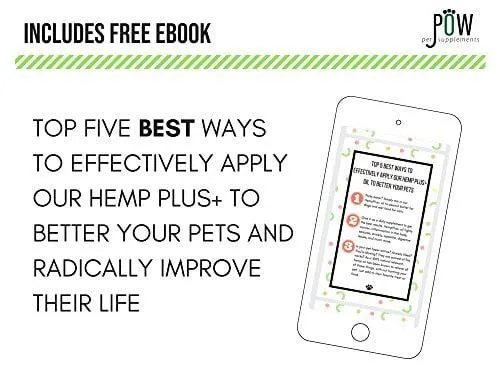 Advanced Hemp Oil Made for Dogs and Cats - Focuses on Anxiety Relief, Inflammation, Pain Relief and Joint Health- Made with MCT Oil and Organically Grown in USA