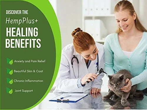 Advanced Hemp Oil Made for Dogs and Cats - Focuses on Anxiety Relief, Inflammation, Pain Relief and Joint Health- Made with MCT Oil and Organically Grown in USA