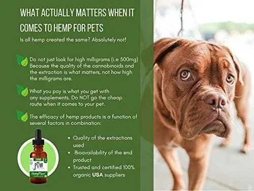 Advanced Hemp Oil Made for Dogs and Cats - Focuses on Anxiety Relief, Inflammation, Pain Relief and Joint Health- Made with MCT Oil and Organically Grown in USA
